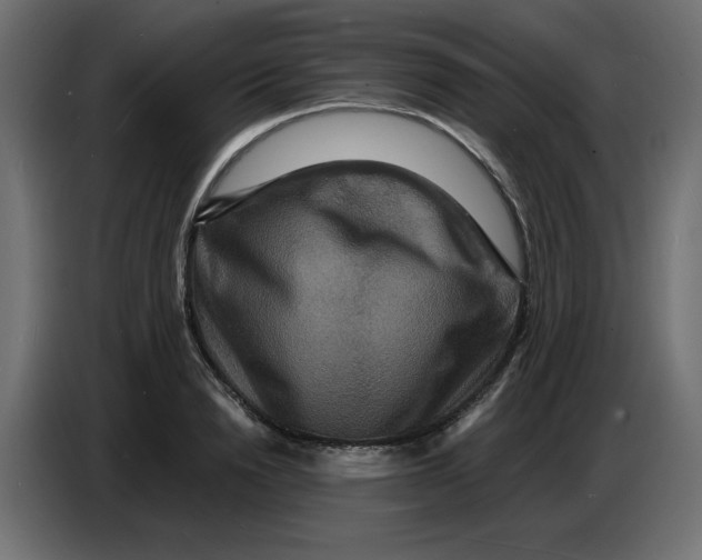 X0000086730846200705041346