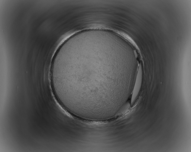 X0000086730847200705041346