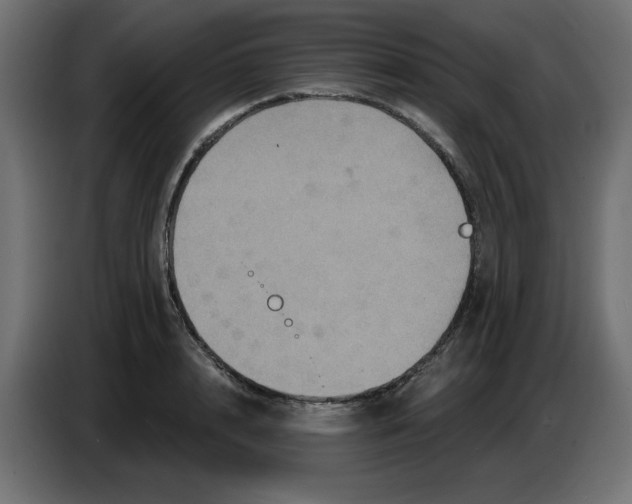 X0000086730848200705041346