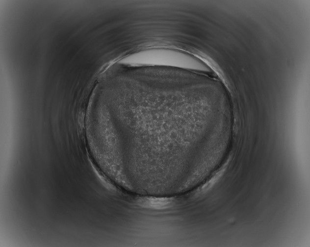 X0000086730849200705041346