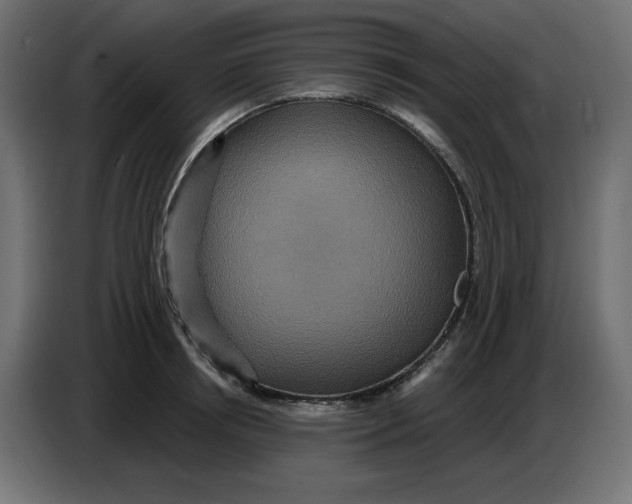 X0000086730850200705041346