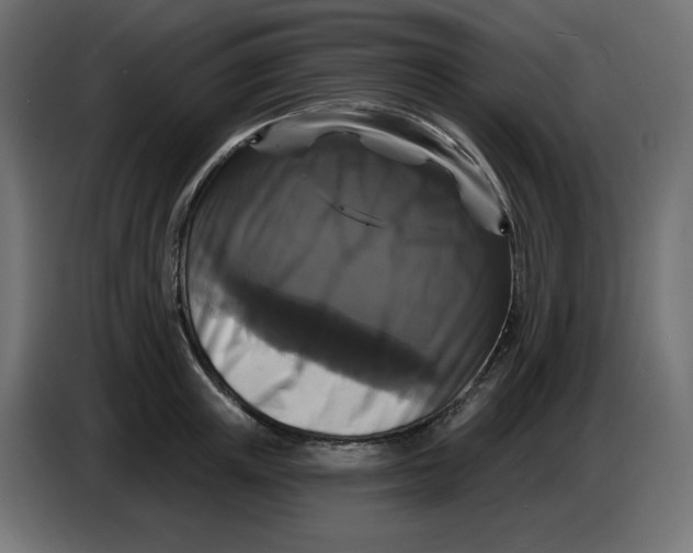 X0000086730851200705041346