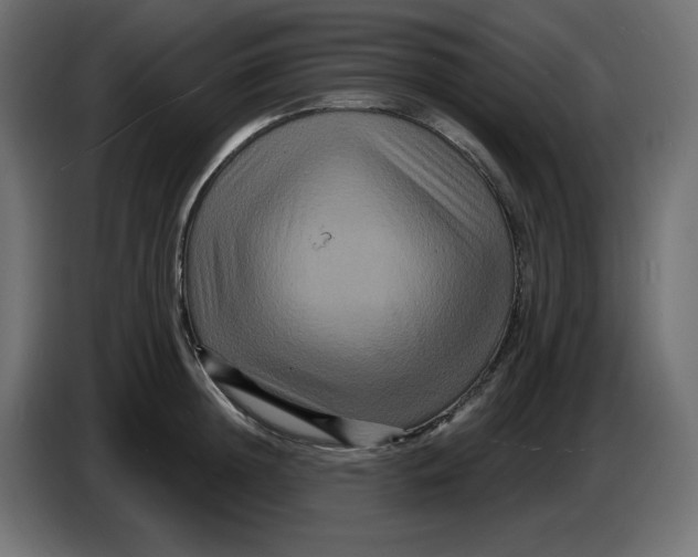 X0000086730852200705041346