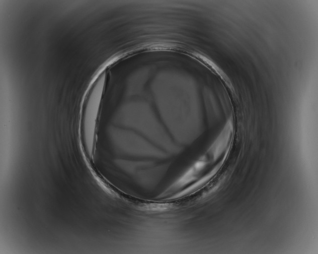 X0000086730853200705041346