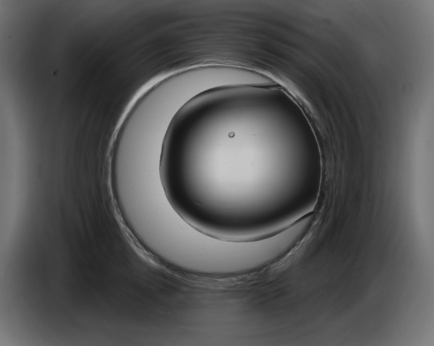 X0000086730854200705041346