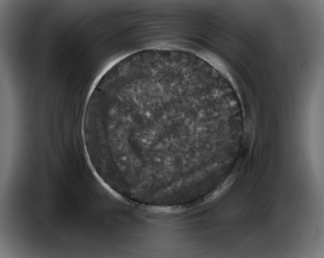 X0000086730855200705041346