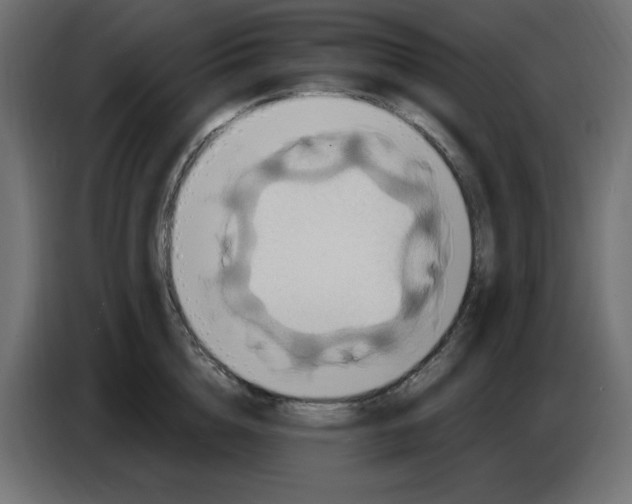 X0000086730856200705041346