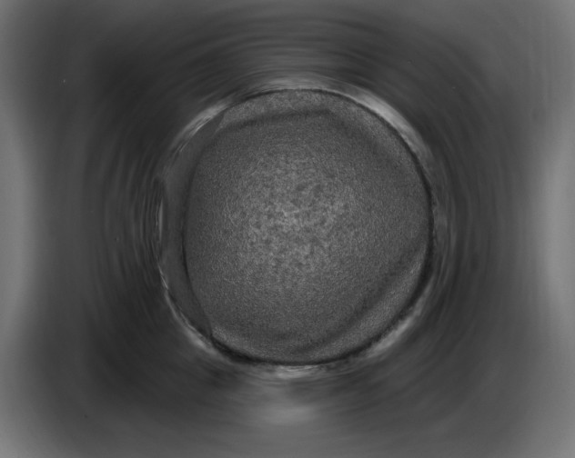 X0000086730857200705041346