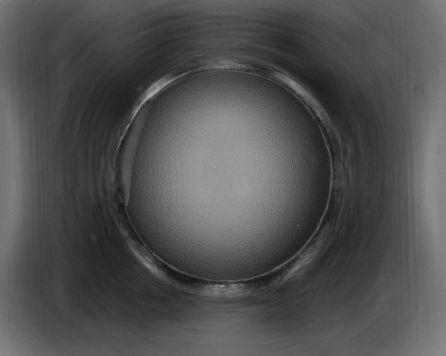 X0000086730858200705041346