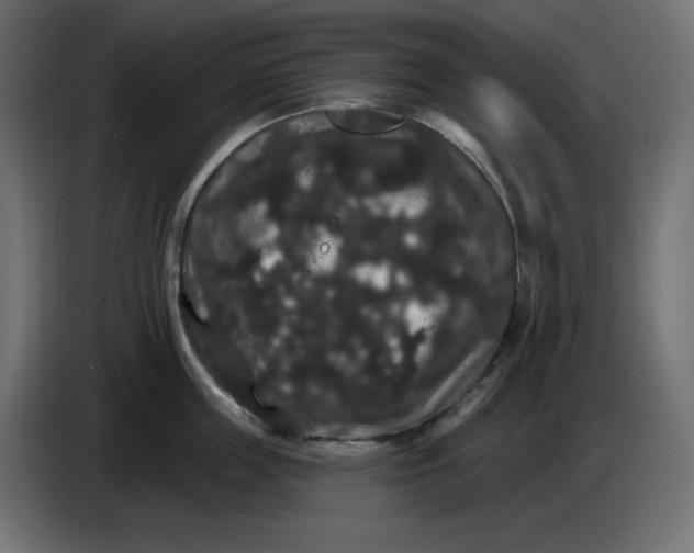 X0000086730859200705041346