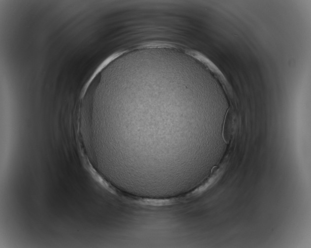 X0000086730860200705041346