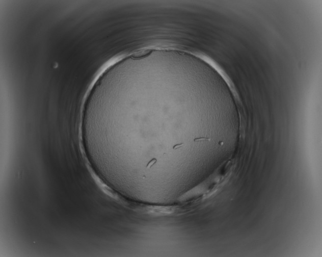 X0000086730861200705041346