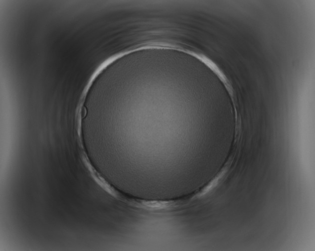 X0000086730862200705041346