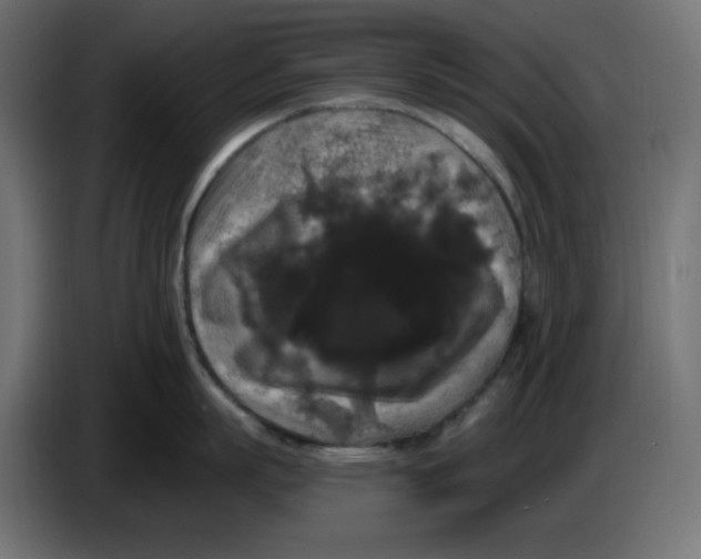 X0000086730863200705041346