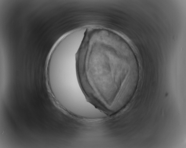 X0000086730864200705041346