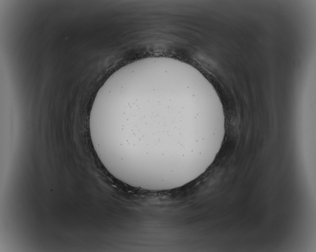 X0000086730865200705041345