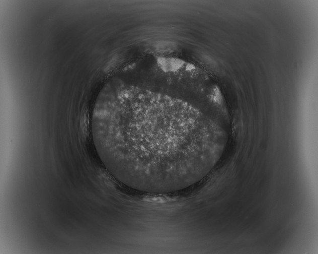 X0000086730866200705041345