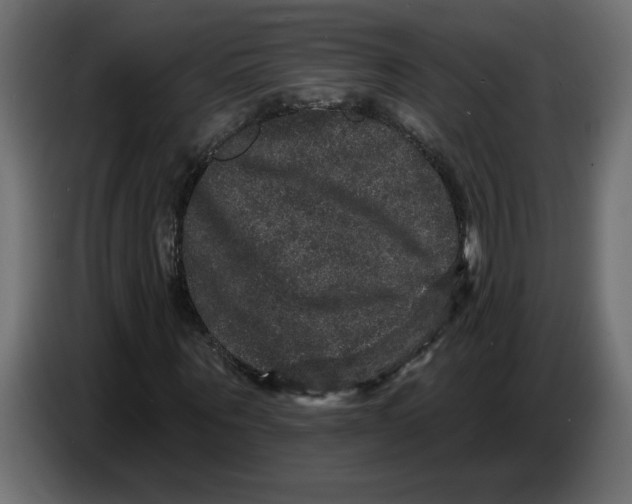 X0000086730867200705041345