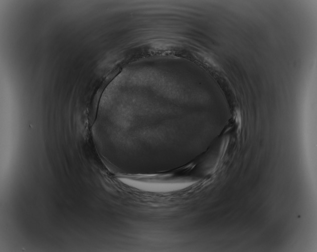 X0000086730868200705041345