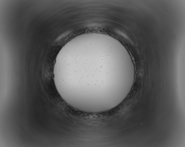 X0000086730869200705041345