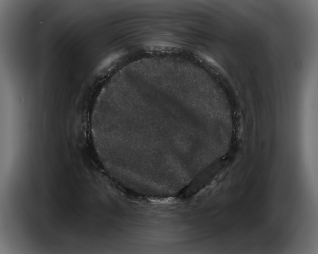 X0000086730870200705041345