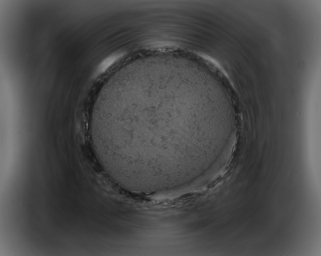 X0000086730871200705041345