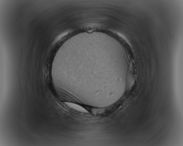 X0000086730872200705041345