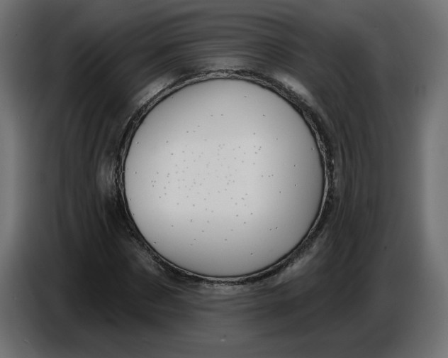 X0000086730873200705041345