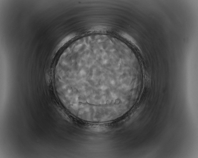 X0000086730874200705041345