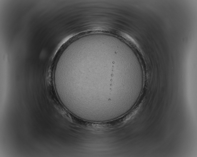 X0000086730875200705041345