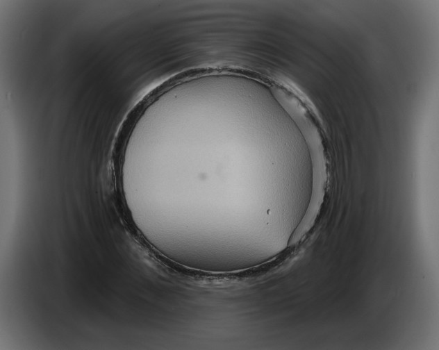 X0000086730876200705041345