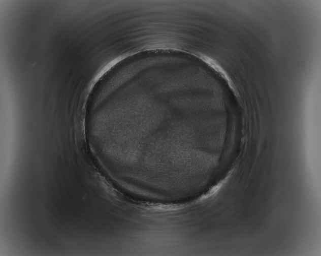 X0000086730877200705041345