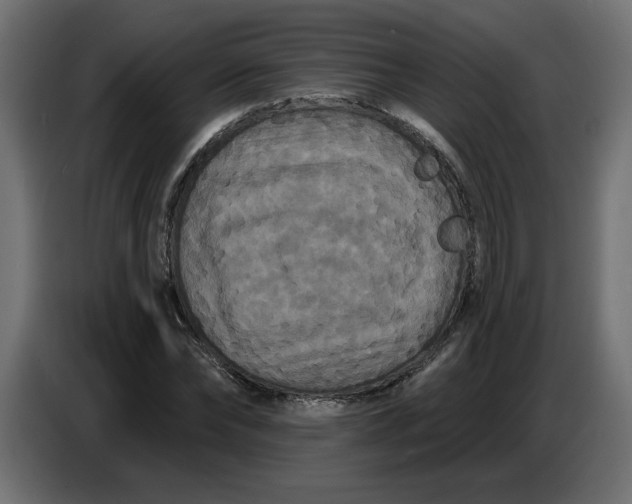 X0000086730878200705041345