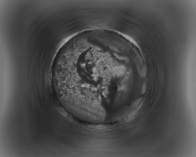 X0000086730879200705041345