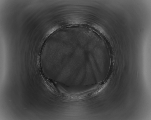 X0000086730881200705041345