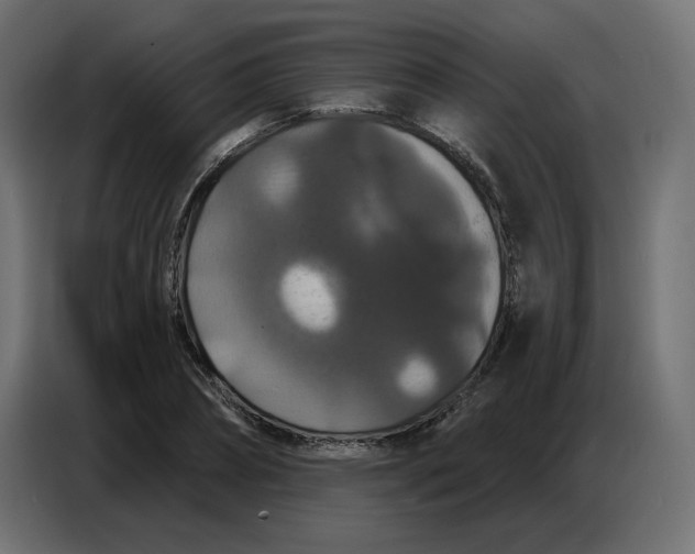 X0000086730882200705041345