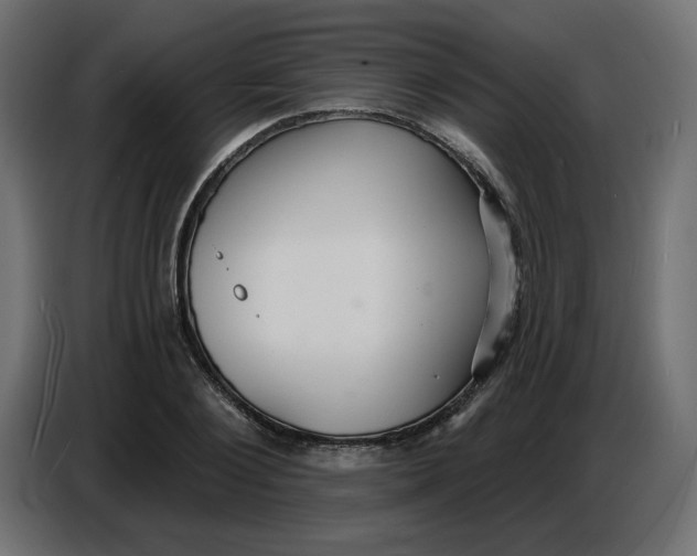 X0000086730884200705041345