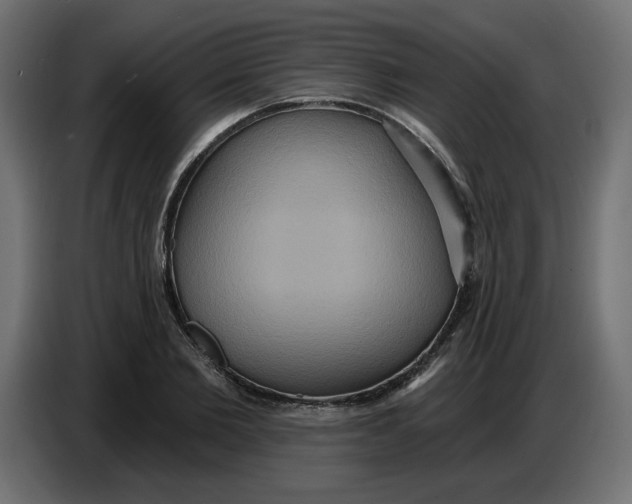 X0000086730885200705041345