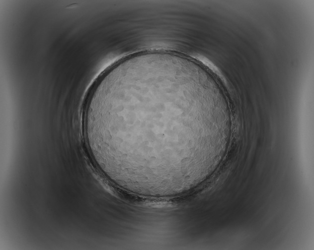 X0000086730886200705041345