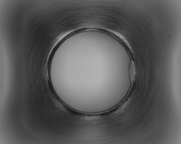 X0000086730887200705041345