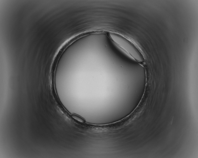 X0000086730888200705041345