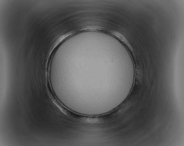 X0000086730890200705041345