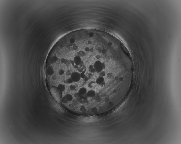 X0000086730891200705041345