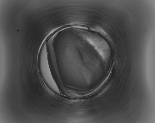 X0000086730892200705041345