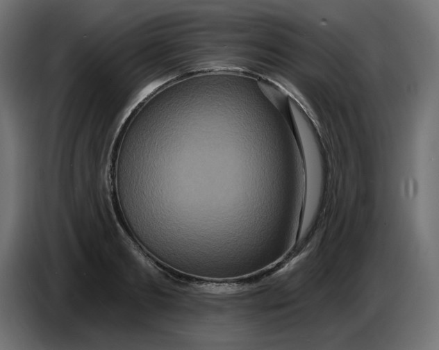 X0000086730893200705041345