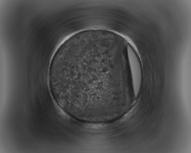 X0000086730895200705041345