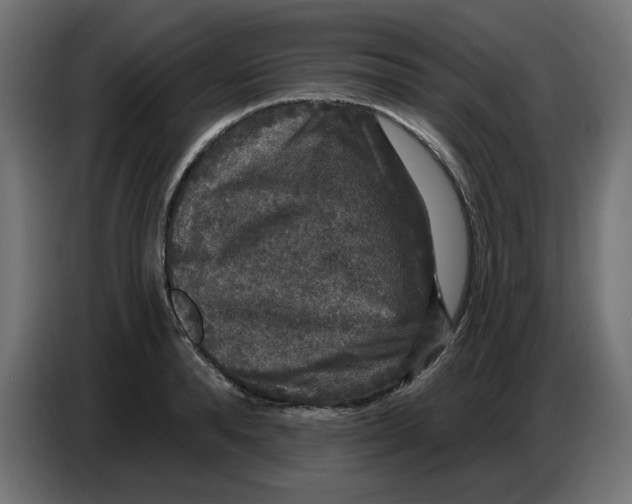 X0000086730896200705041345