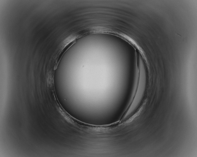 X0000086730897200705041345