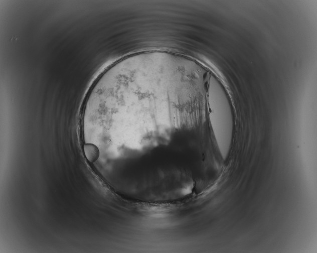 X0000086730899200705041345