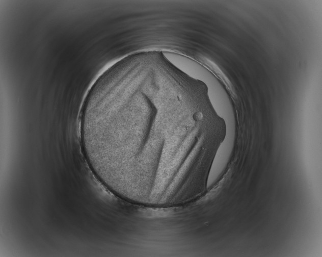 X0000086730900200705041345